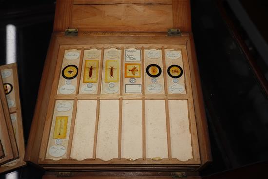 Two cases of scientific microscope slides many by Dareston, Birmingham